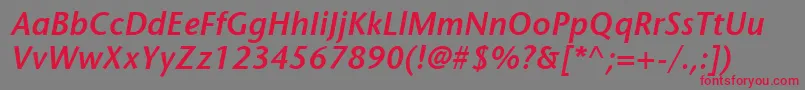 ItcStoneSansLtSemiboldItalic Font – Red Fonts on Gray Background
