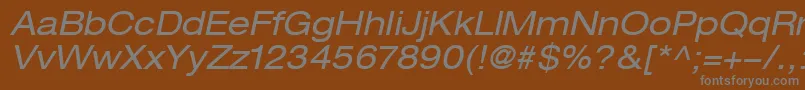 Fonte HelveticaLt53ExtendedOblique – fontes cinzas em um fundo marrom