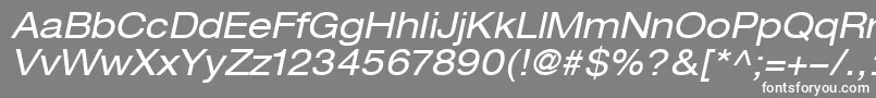 フォントHelveticaLt53ExtendedOblique – 灰色の背景に白い文字