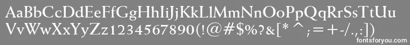 WeissBoldBt Font – White Fonts on Gray Background