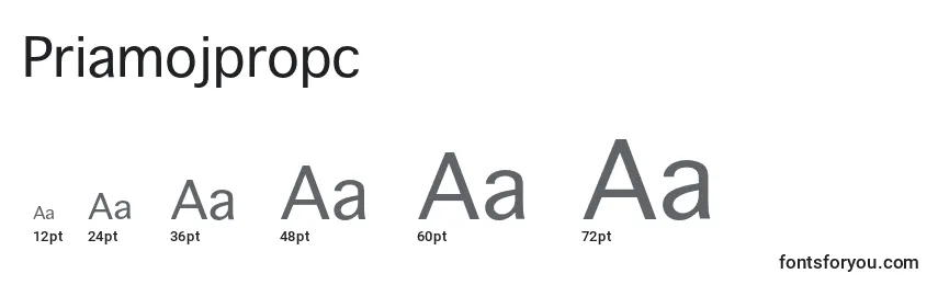 Размеры шрифта Priamojpropc