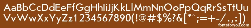 JournalSansserifPlain.001.001 Font – White Fonts on Brown Background