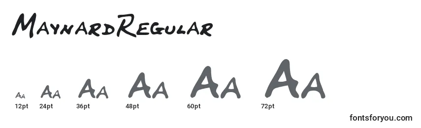 MaynardRegular Font Sizes