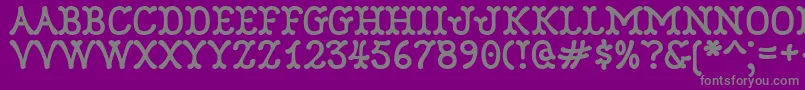 More about Robinne Font Robinne Font – Gray Fonts on Purple Background