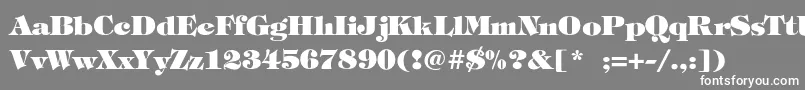 TiffanyHeavyBold Font – White Fonts on Gray Background