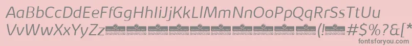 フォントKabrioLightItalicTrial – ピンクの背景に灰色の文字