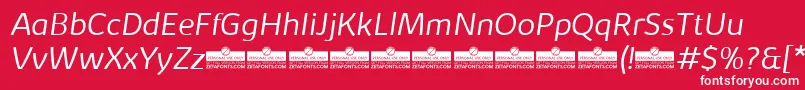 KabrioLightItalicTrial Font – White Fonts on Red Background