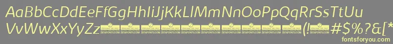 KabrioLightItalicTrial-Schriftart – Gelbe Schriften auf grauem Hintergrund
