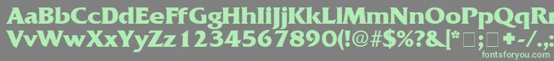 AnticlaireDisplaySsi Font – Green Fonts on Gray Background