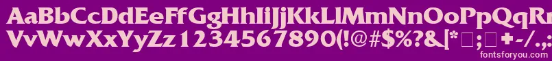 AnticlaireDisplaySsi Font – Pink Fonts on Purple Background