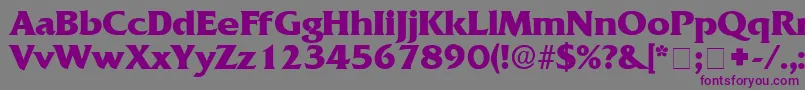 AnticlaireDisplaySsi Font – Purple Fonts on Gray Background