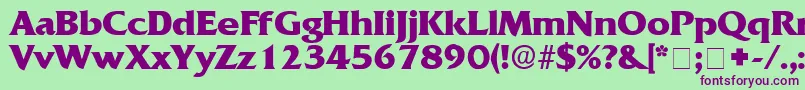 AnticlaireDisplaySsi Font – Purple Fonts on Green Background