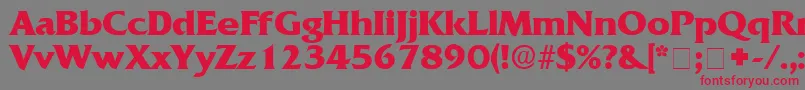 AnticlaireDisplaySsi Font – Red Fonts on Gray Background