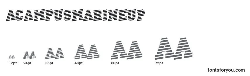ACampusmarineup Font Sizes