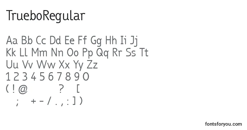 Czcionka TrueboRegular – alfabet, cyfry, specjalne znaki