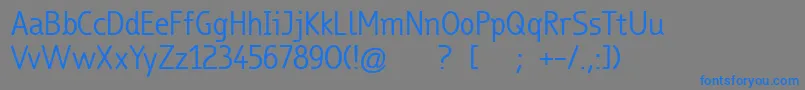 TrueboRegular Font – Blue Fonts on Gray Background