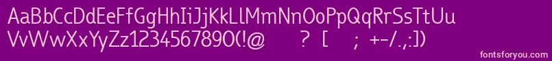 TrueboRegular Font – Pink Fonts on Purple Background
