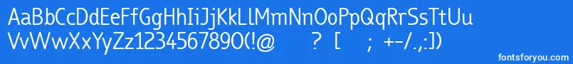 TrueboRegular Font – White Fonts on Blue Background