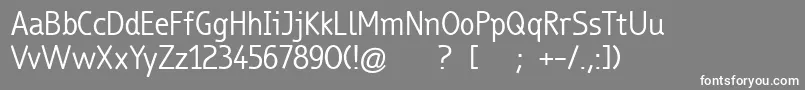TrueboRegular Font – White Fonts on Gray Background