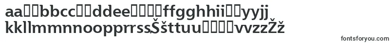 Essai-fontti – liettualaiset fontit