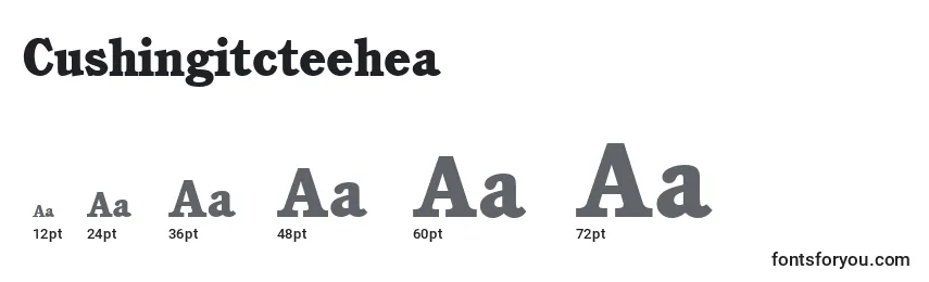 Cushingitcteehea Font Sizes