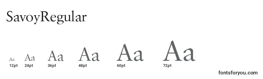 Размеры шрифта SavoyRegular
