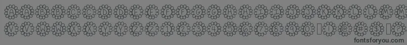 FlowerPowerThin Font – Black Fonts on Gray Background