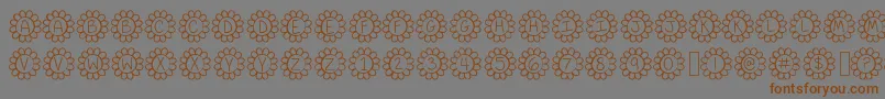 FlowerPowerThin Font – Brown Fonts on Gray Background