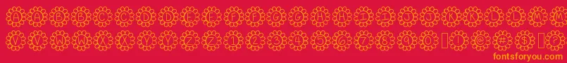 FlowerPowerThin Font – Orange Fonts on Red Background