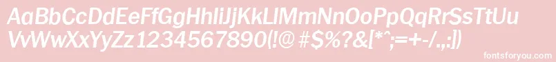 PlymouthserialBolditalic Font – White Fonts on Pink Background
