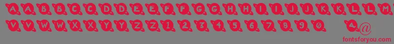 Saturn Font – Red Fonts on Gray Background