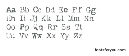 DislexiE Font