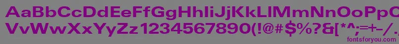 UniqueExtendedBold Font – Purple Fonts on Gray Background