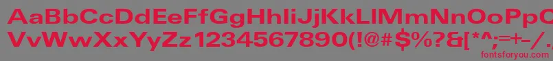 UniqueExtendedBold Font – Red Fonts on Gray Background
