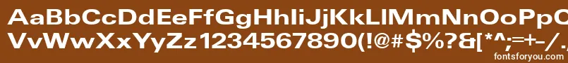 Шрифт UniqueExtendedBold – белые шрифты на коричневом фоне
