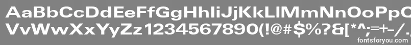 UniqueExtendedBold Font – White Fonts on Gray Background