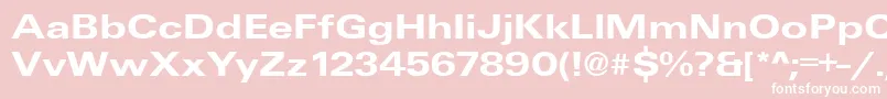 UniqueExtendedBold-Schriftart – Weiße Schriften auf rosa Hintergrund