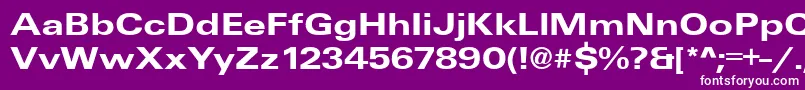 UniqueExtendedBold Font – White Fonts on Purple Background