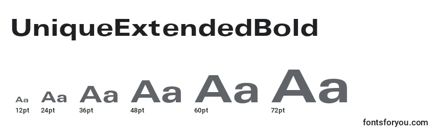 Размеры шрифта UniqueExtendedBold