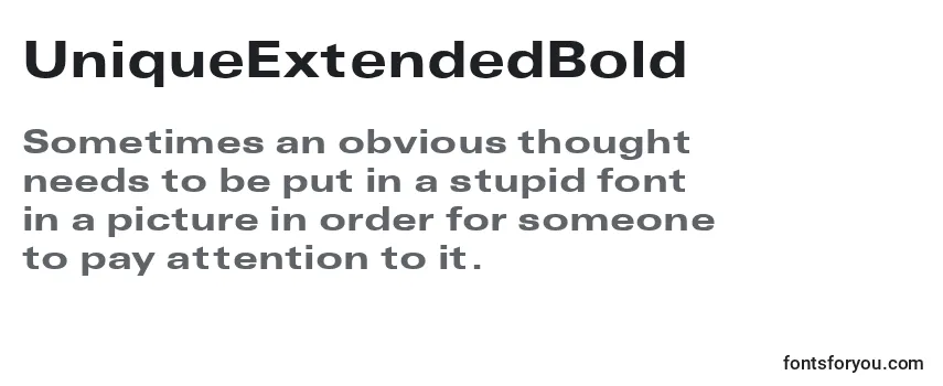 UniqueExtendedBold Font