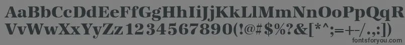 AntiquastdXboldRegular Font – Black Fonts on Gray Background