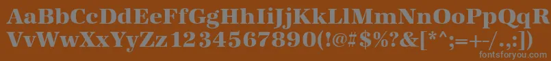 AntiquastdXboldRegular Font – Gray Fonts on Brown Background