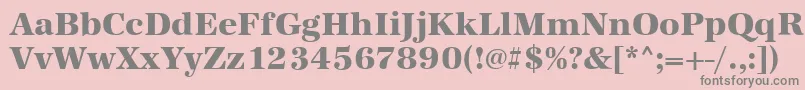 AntiquastdXboldRegular Font – Gray Fonts on Pink Background