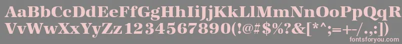 AntiquastdXboldRegular Font – Pink Fonts on Gray Background