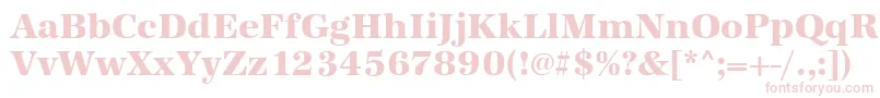 AntiquastdXboldRegular Font – Pink Fonts