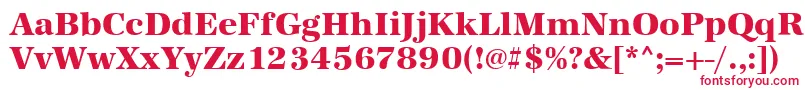 AntiquastdXboldRegular Font – Red Fonts