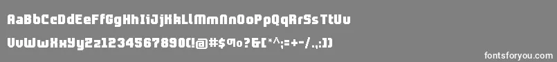 Prolamina2Update Font – White Fonts on Gray Background