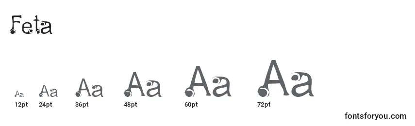 Размеры шрифта Feta