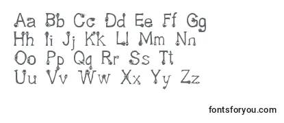 Обзор шрифта Feta