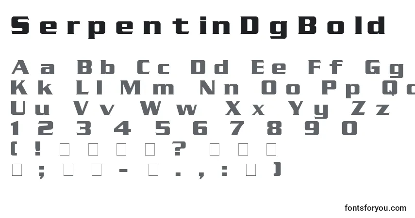 A fonte SerpentinDgBold – alfabeto, números, caracteres especiais